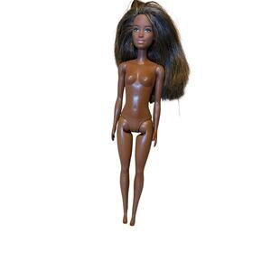 Mattel Barbie Dark Skin African American Evolution Fashionistas Doll 2014